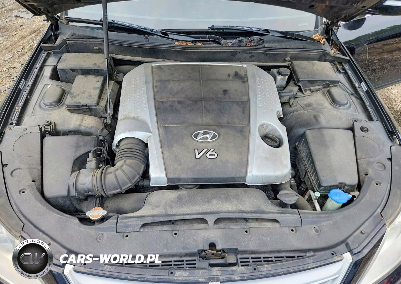 2009 Hyundai Genesis 3.8L VIN:KMHGC46E09U020153 - 11