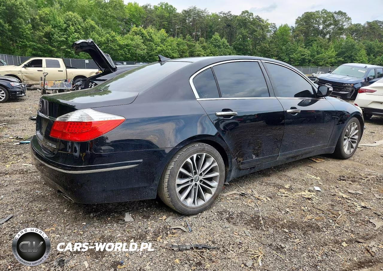 2009 Hyundai Genesis 3.8L VIN:KMHGC46E09U020153 - 3