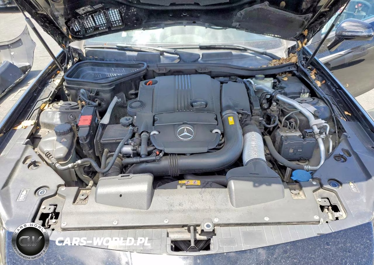 2012 Mercedes-Benz Slk 250 VIN:WDDPK4HA0CF046688 - 11