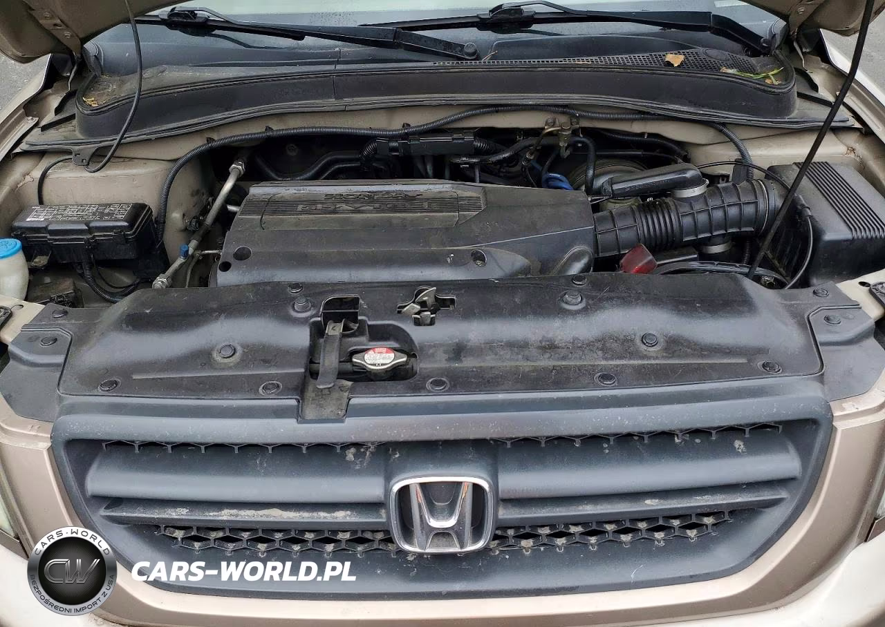 2003 Honda Pilot Lx VIN:2HKYF18123H562901 - 11