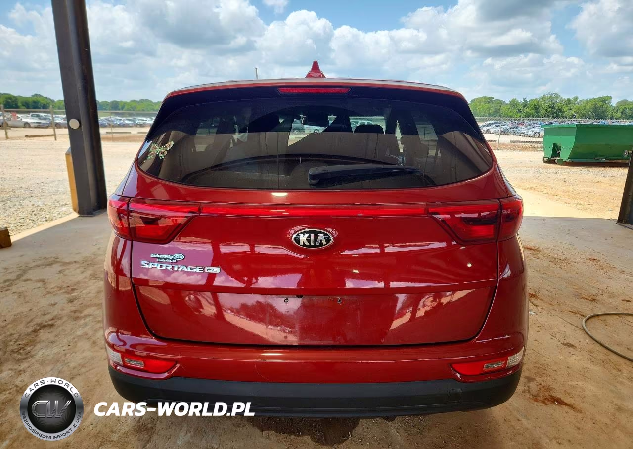 2019 Kia Sportage Lx VIN:KNDPM3AC9K7507759 - 6