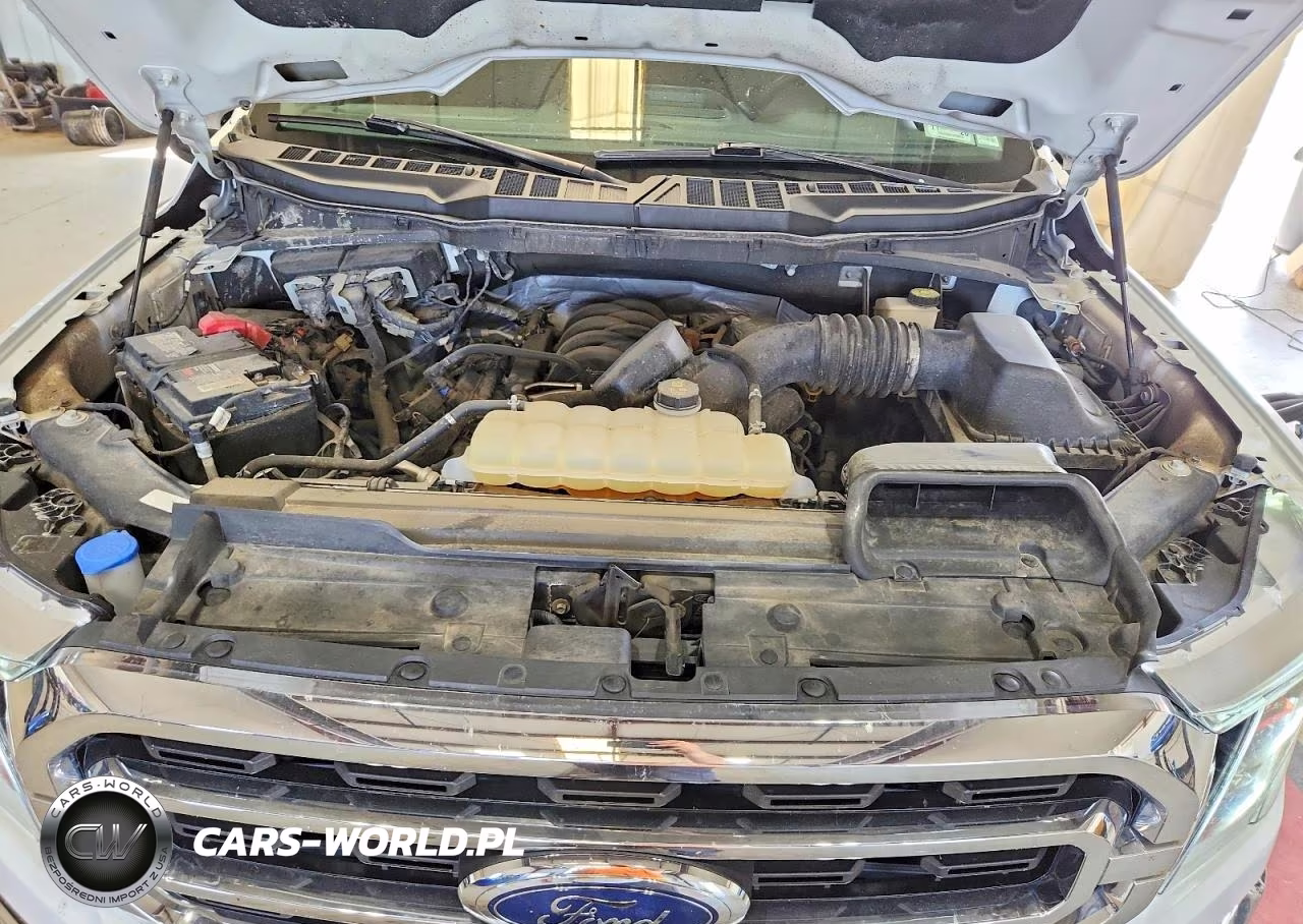 2023 Ford F150 Supercrew VIN:1FTFW1E58PKE02026 - 11