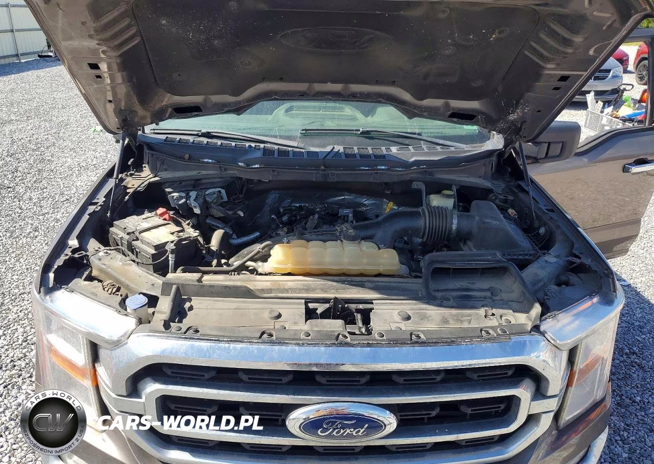 2021 Ford F150 Supercrew VIN:1FTEW1EP8MFB75583 - 11