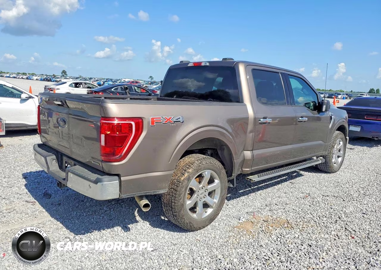 2021 Ford F150 Supercrew VIN:1FTEW1EP8MFB75583 - 3
