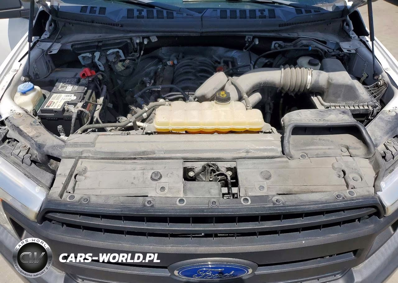 2019 Ford F150 Supercrew VIN:1FTFW1E5XKFC56844 - 11