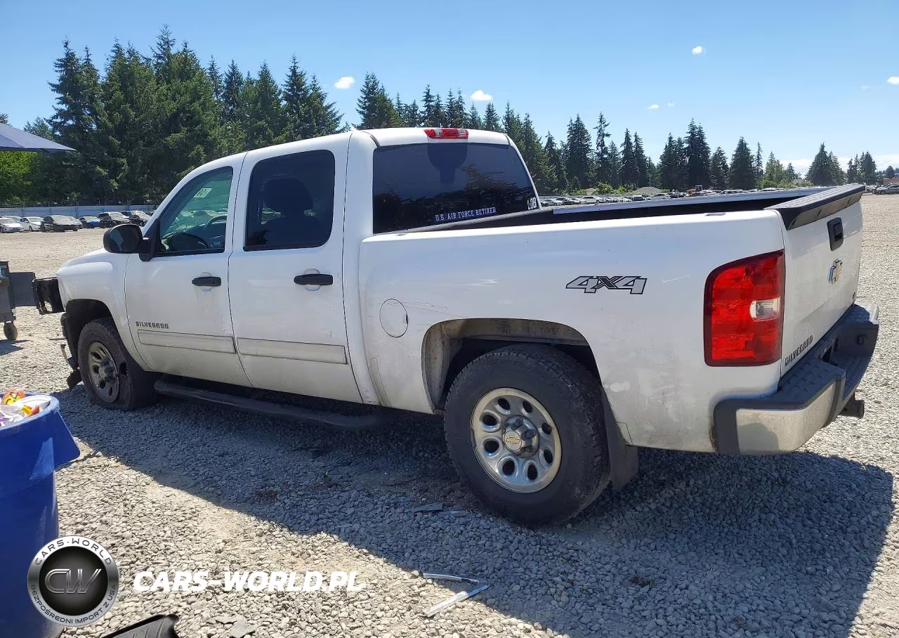 2009 Chevrolet Silverado K1500 VIN:3GCEK13C79G289916 - 2