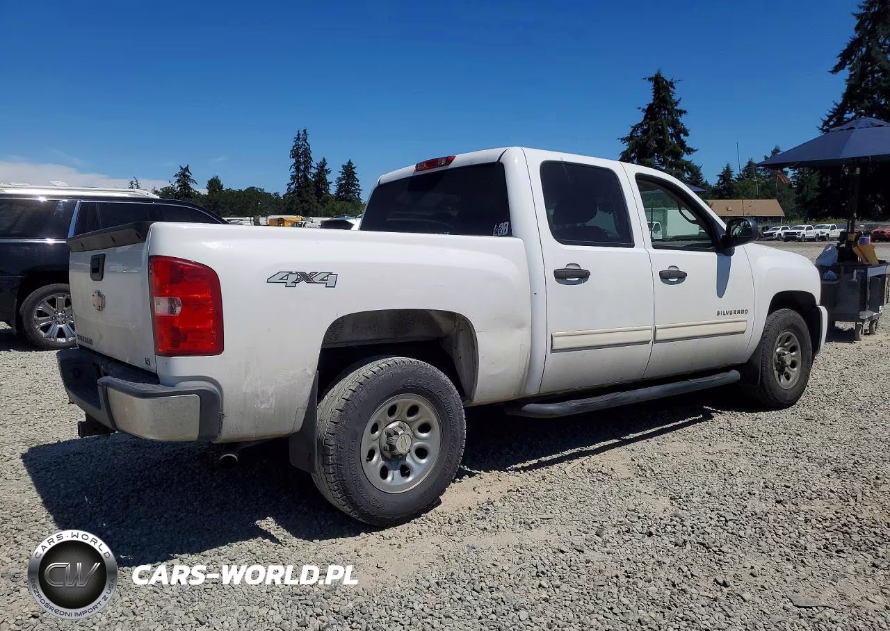 2009 Chevrolet Silverado K1500 VIN:3GCEK13C79G289916 - 3