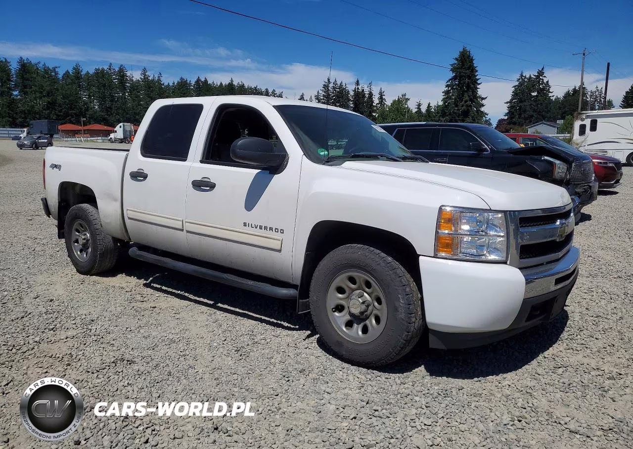 2009 Chevrolet Silverado K1500 VIN:3GCEK13C79G289916 - 4