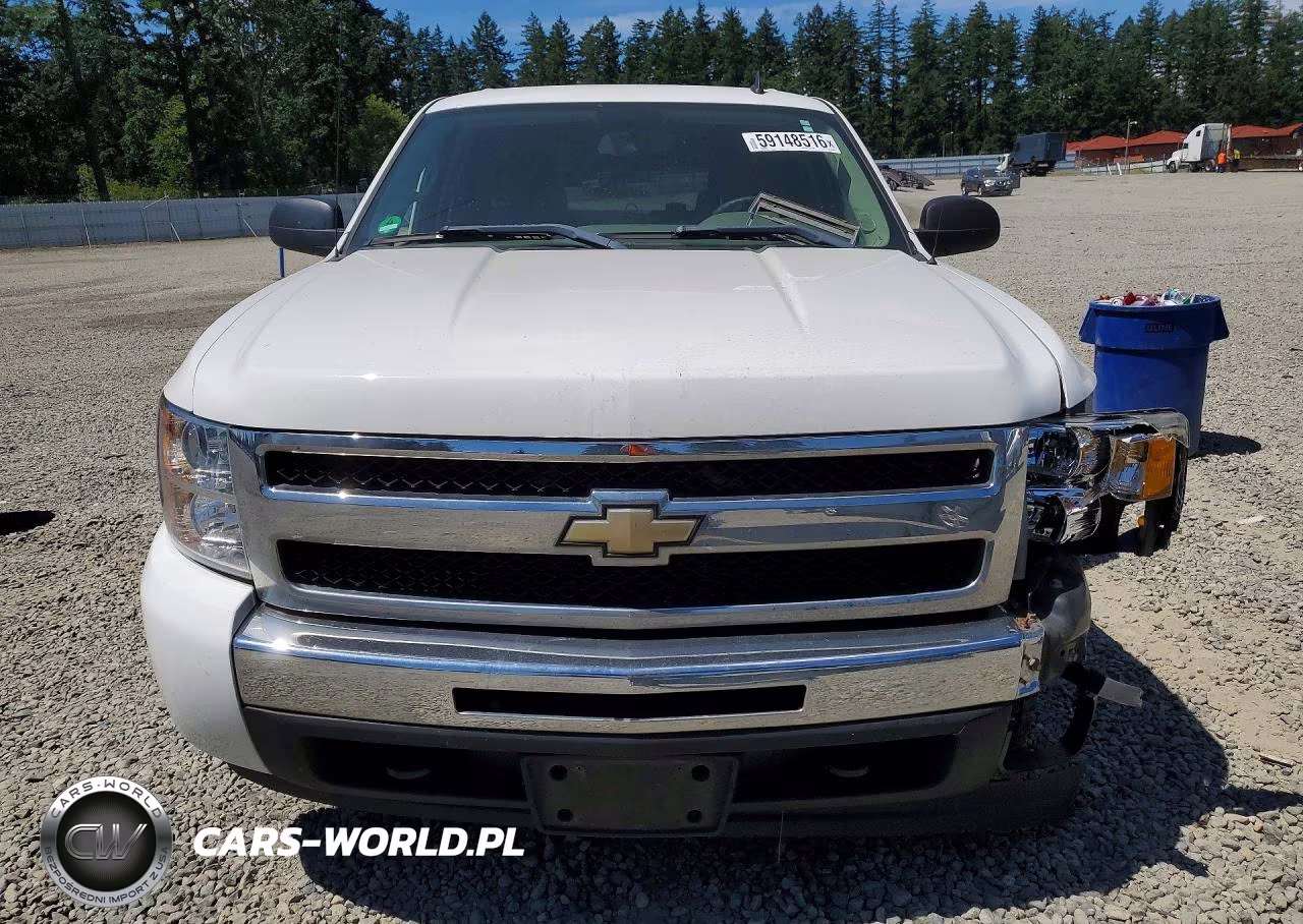 2009 Chevrolet Silverado K1500 VIN:3GCEK13C79G289916 - 5