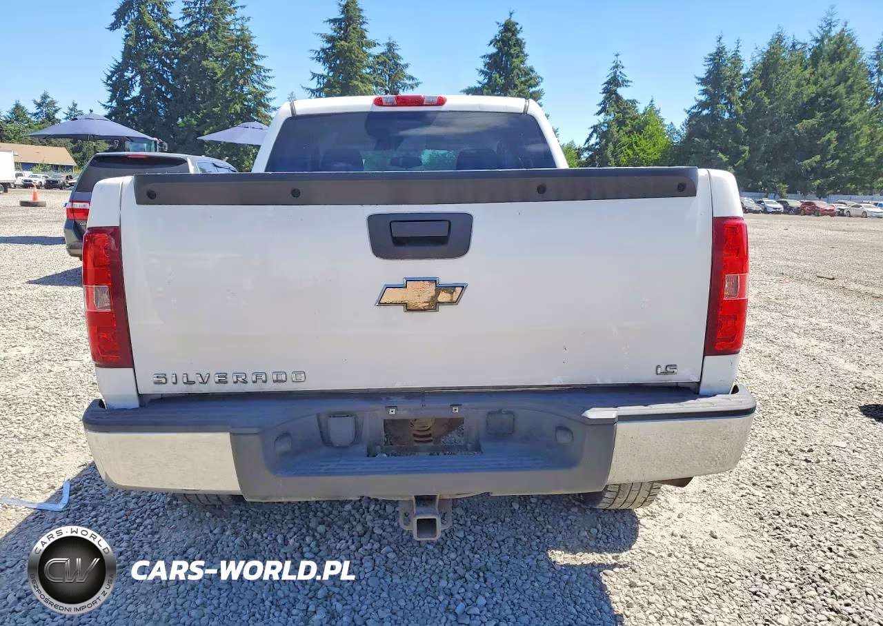 2009 Chevrolet Silverado K1500 VIN:3GCEK13C79G289916 - 6