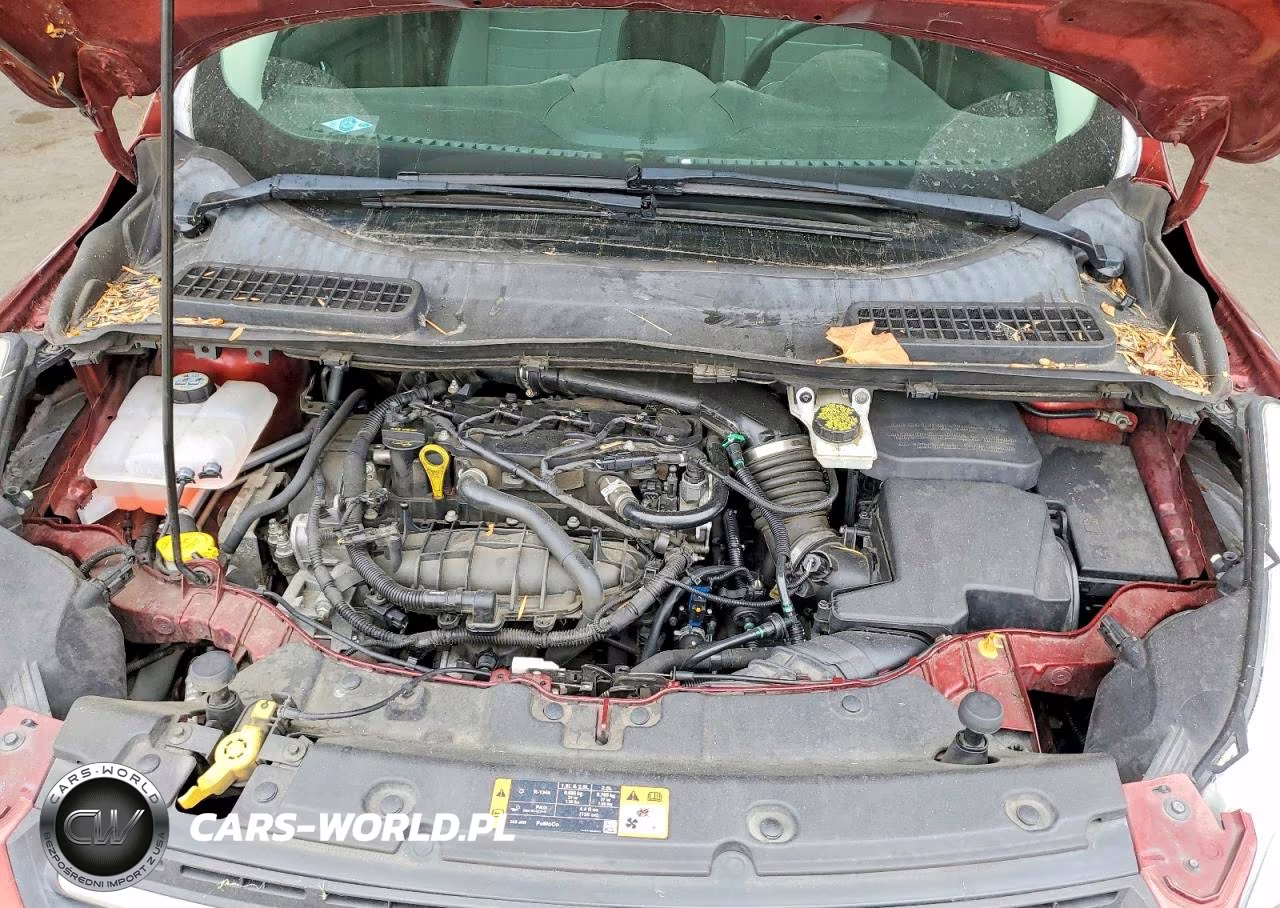 2015 Ford Escape Se VIN:1FMCU0GX1FUB33433 - 11