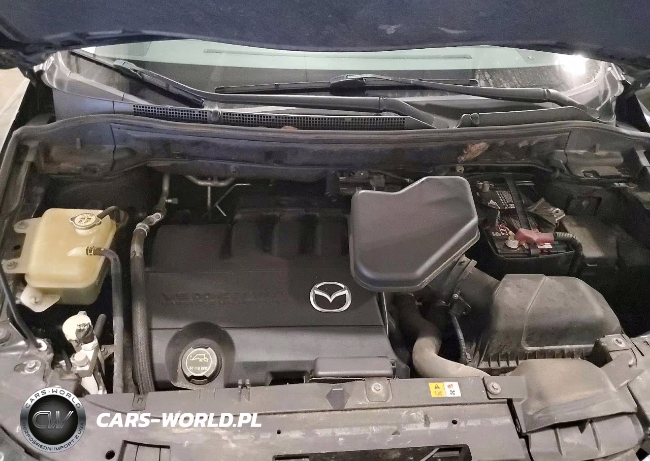 2011 Mazda Cx-9 VIN:JM3TB3CA8B0313482 - 12