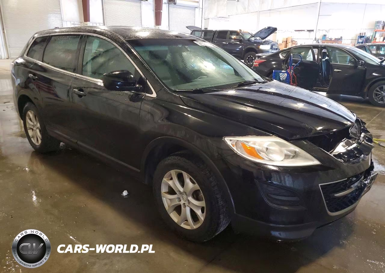 2011 Mazda Cx-9 VIN:JM3TB3CA8B0313482 - 4