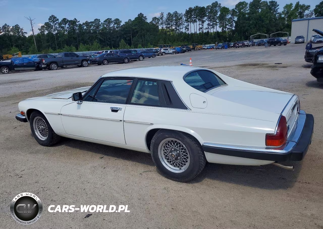 1989 Jaguar Xjs VIN:SAJNA5840KC156954 - 2