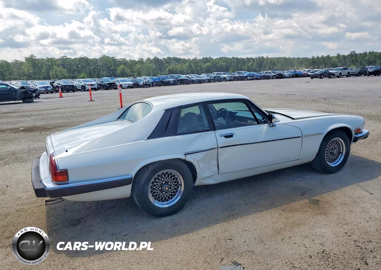 1989 Jaguar Xjs VIN:SAJNA5840KC156954 - 3