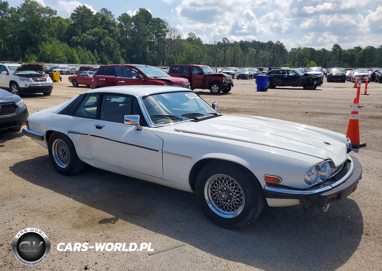 1989 Jaguar Xjs VIN:SAJNA5840KC156954 - 4