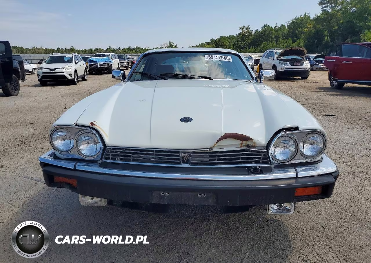 1989 Jaguar Xjs VIN:SAJNA5840KC156954 - 5