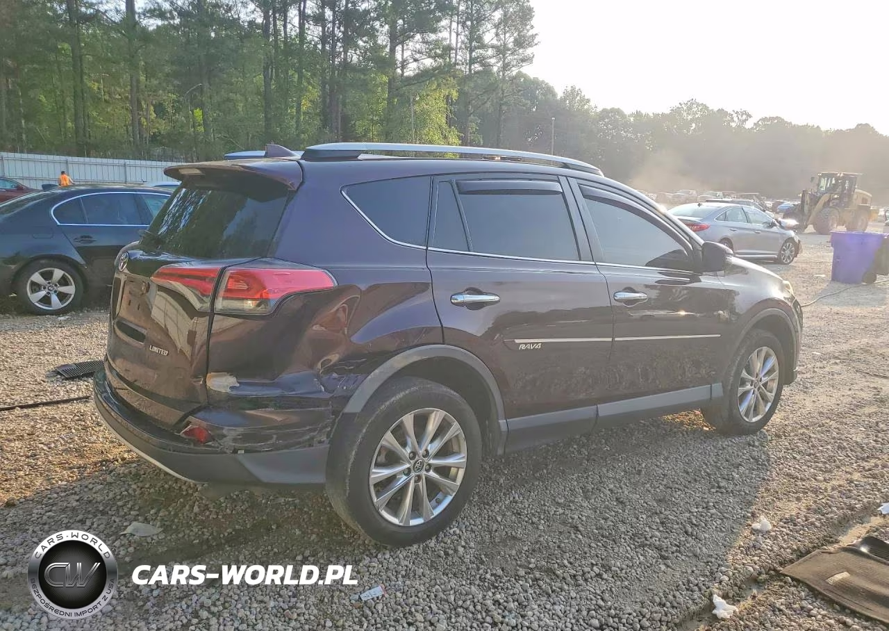 2018 Toyota Rav4 Limited VIN:2T3YFREV7JW428445 - 3