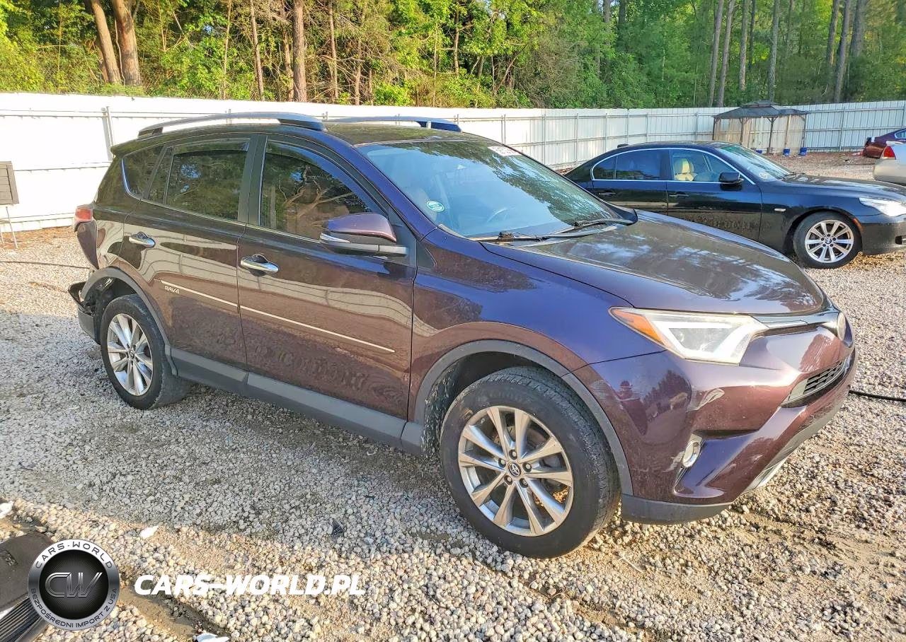 2018 Toyota Rav4 Limited VIN:2T3YFREV7JW428445 - 4
