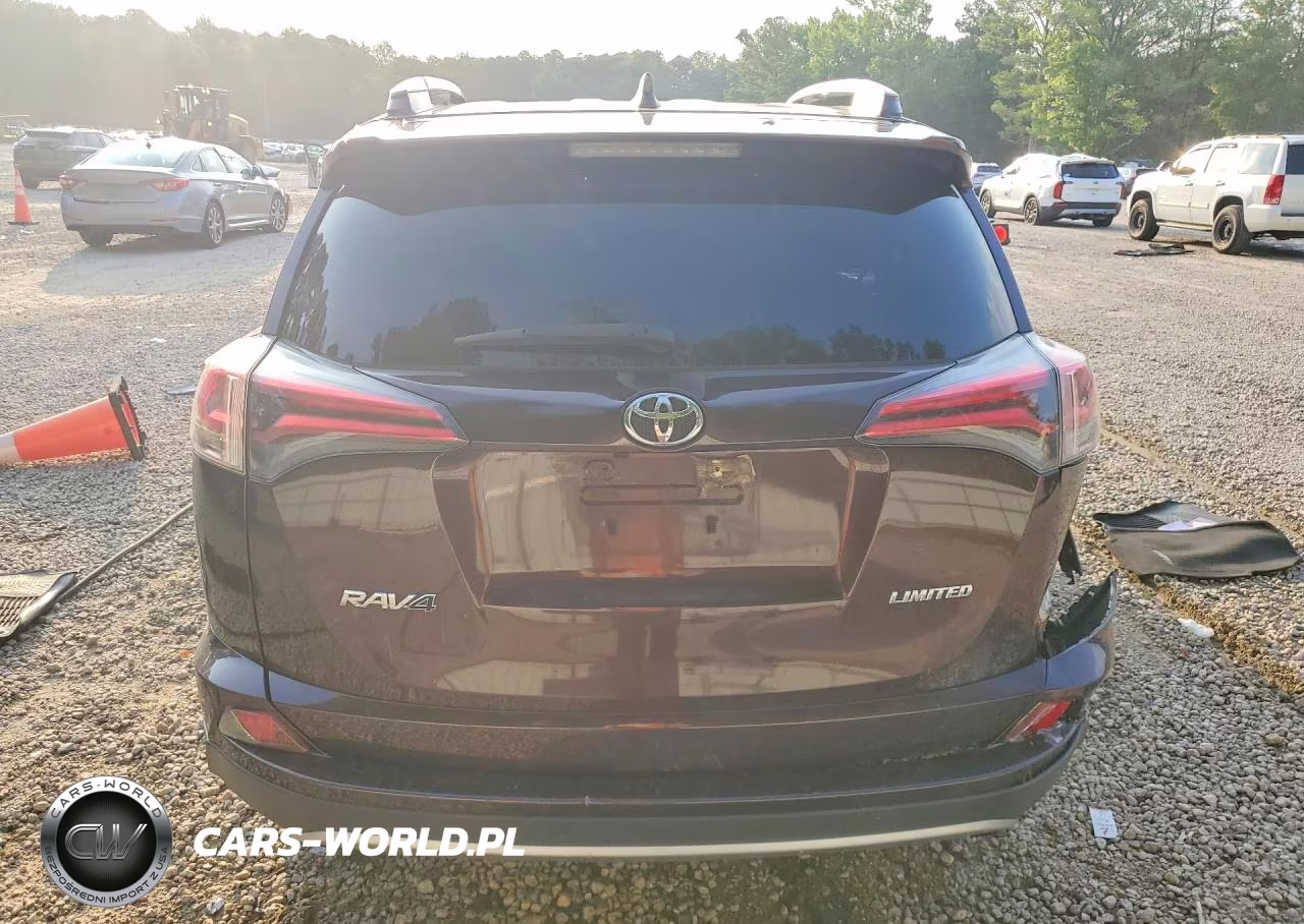2018 Toyota Rav4 Limited VIN:2T3YFREV7JW428445 - 6