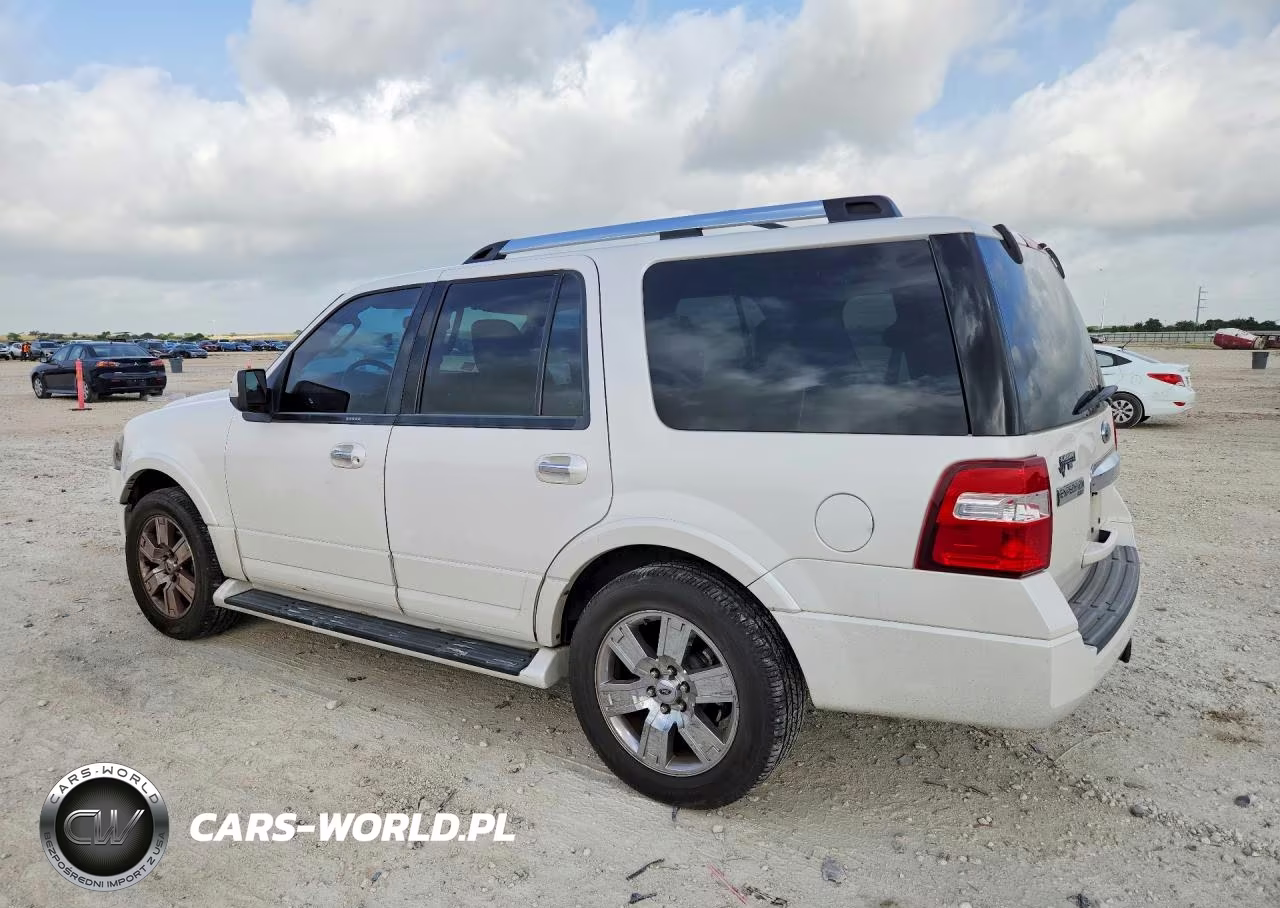 2009 Ford Expedition Limited VIN:1FMFU195X9LA14210 - 2