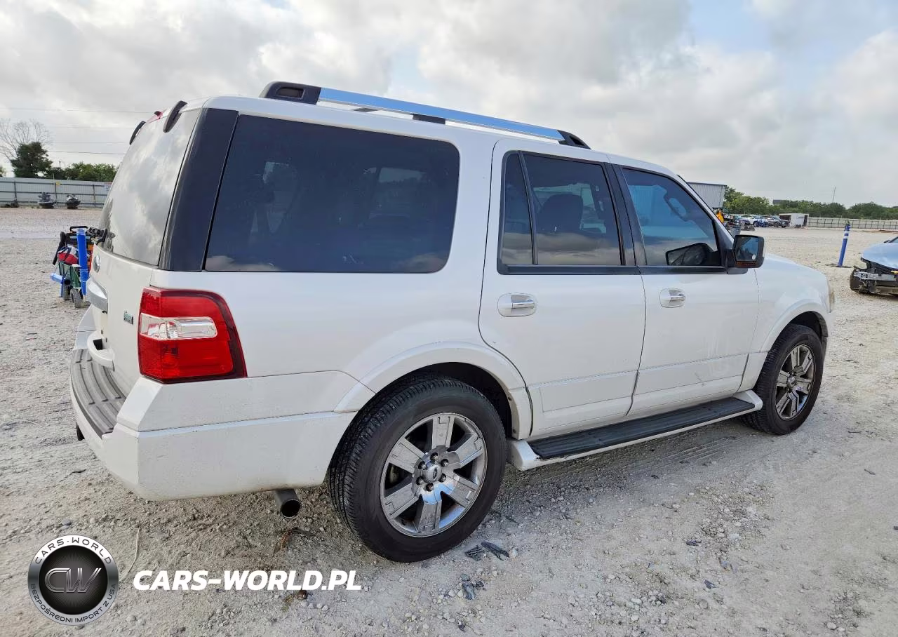 2009 Ford Expedition Limited VIN:1FMFU195X9LA14210 - 3
