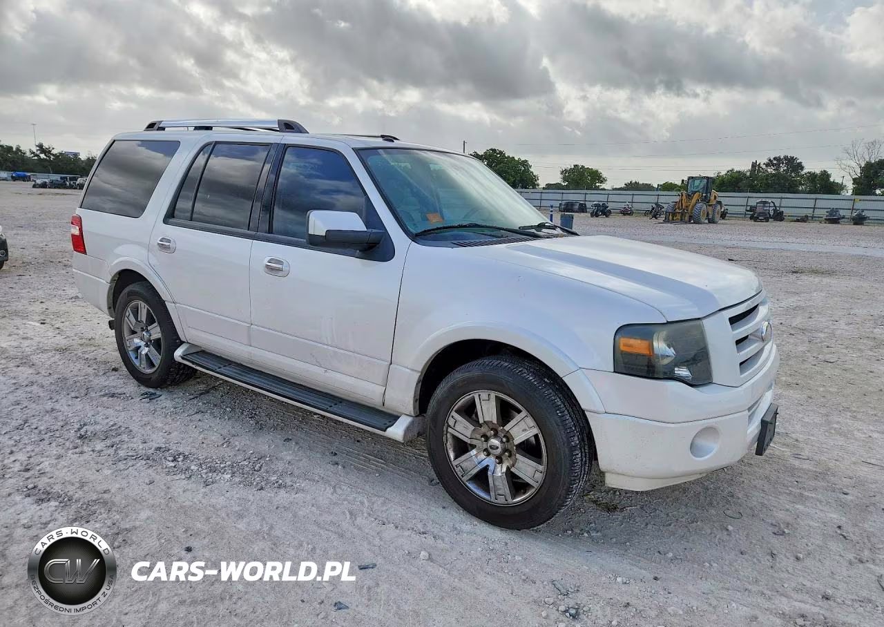 2009 Ford Expedition Limited VIN:1FMFU195X9LA14210 - 4