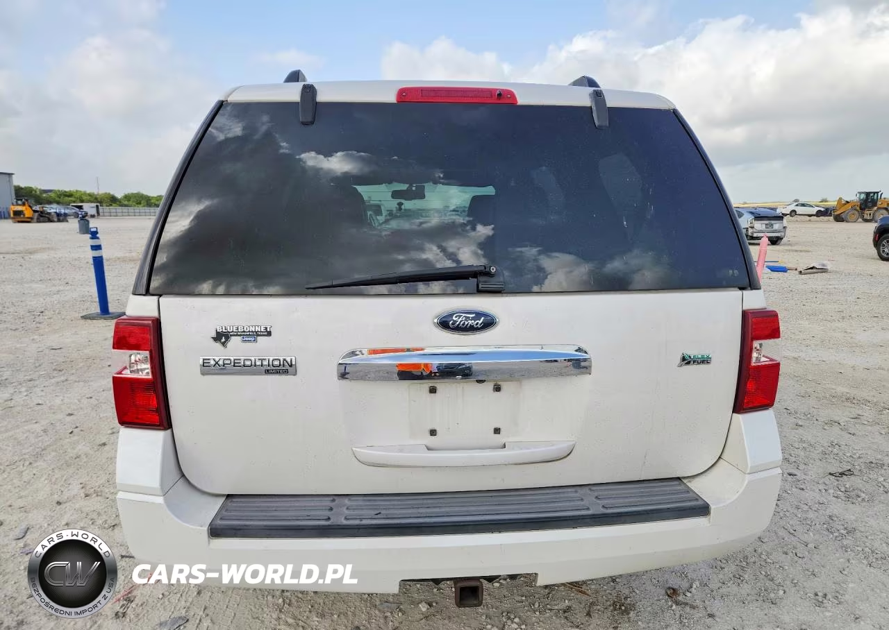 2009 Ford Expedition Limited VIN:1FMFU195X9LA14210 - 6