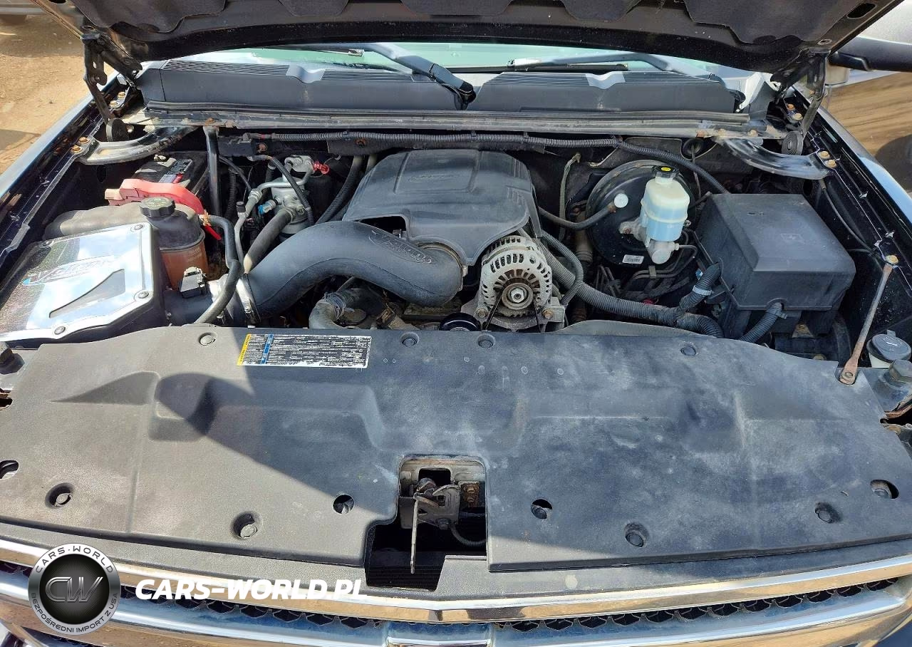 2009 Chevrolet Silverado K1500 Lt VIN:1GCEK29059Z162942 - 11