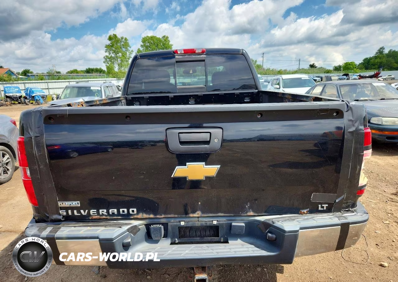 2009 Chevrolet Silverado K1500 Lt VIN:1GCEK29059Z162942 - 6