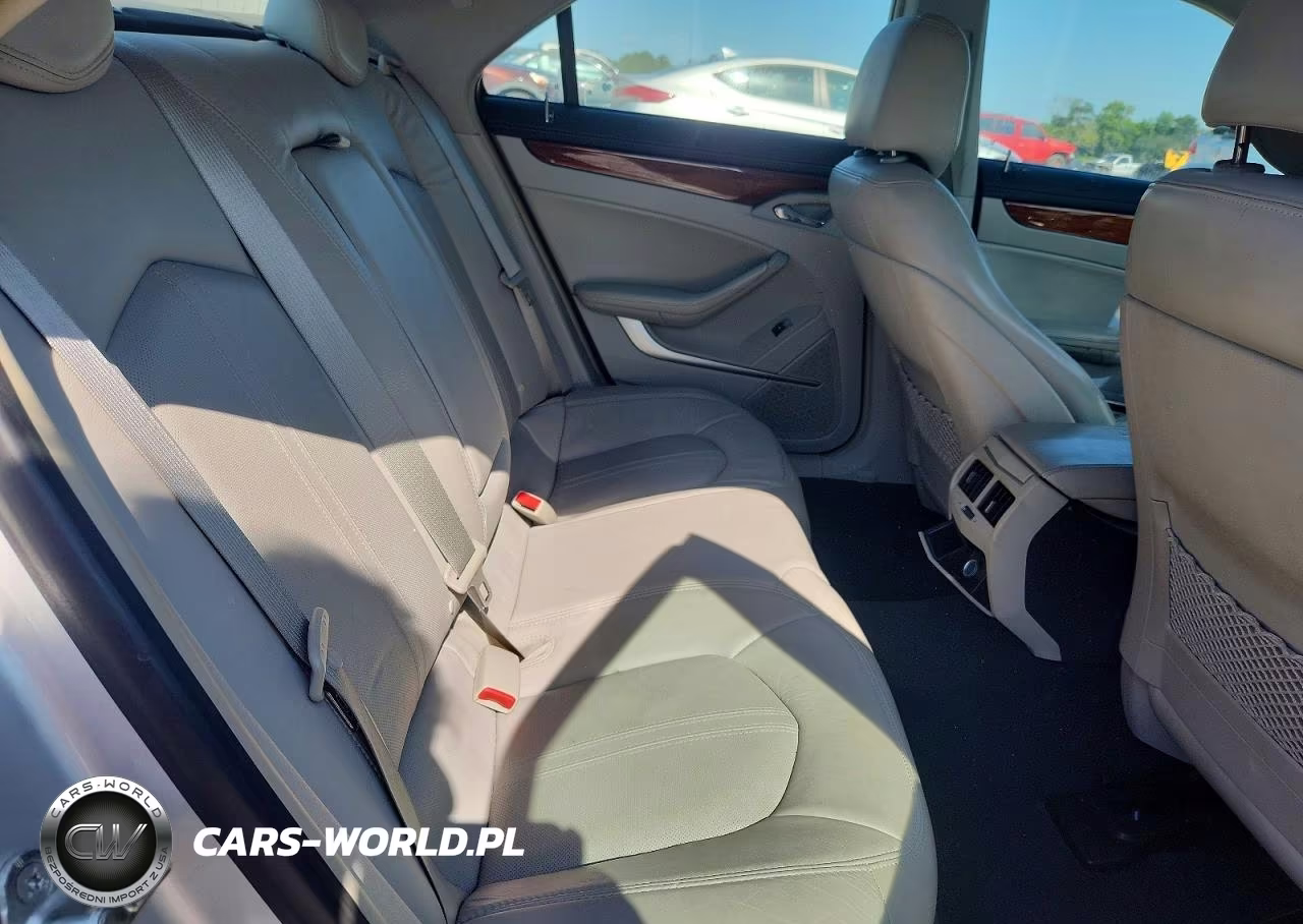 2010 Cadillac Cts Luxury Collection VIN:1G6DE5EG8A0117383 - 10