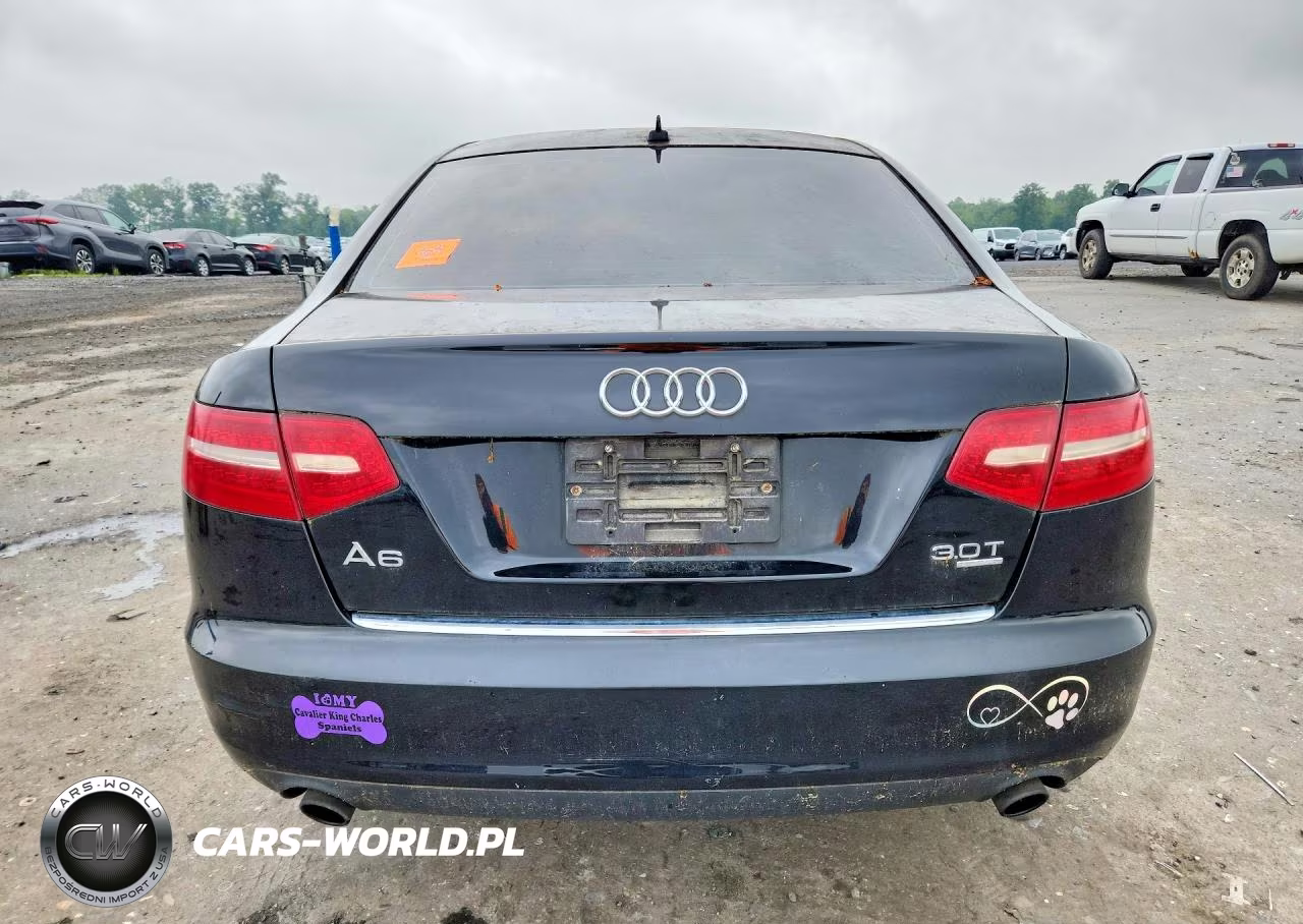 2009 Audi A6 Premium VIN:WAUDG74F99N025531 - 6