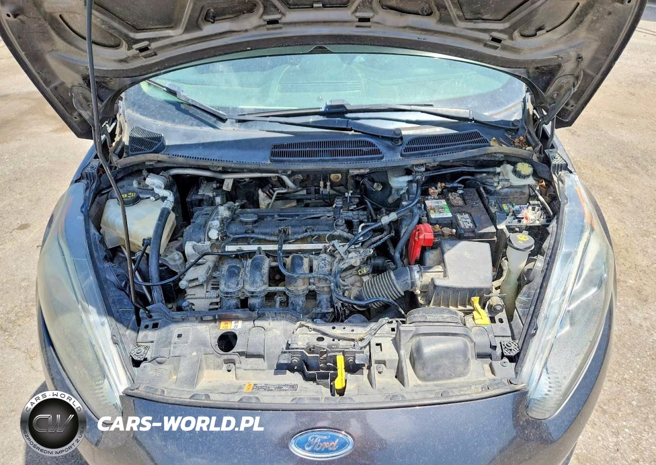 2017 Ford Fiesta VIN:3FADP4BJXHM166387 - 11