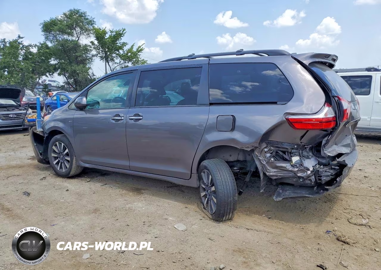 2018 Toyota Sienna Xle 7-Passenger VIN:5TDDZ3DC5JS199686 - 2