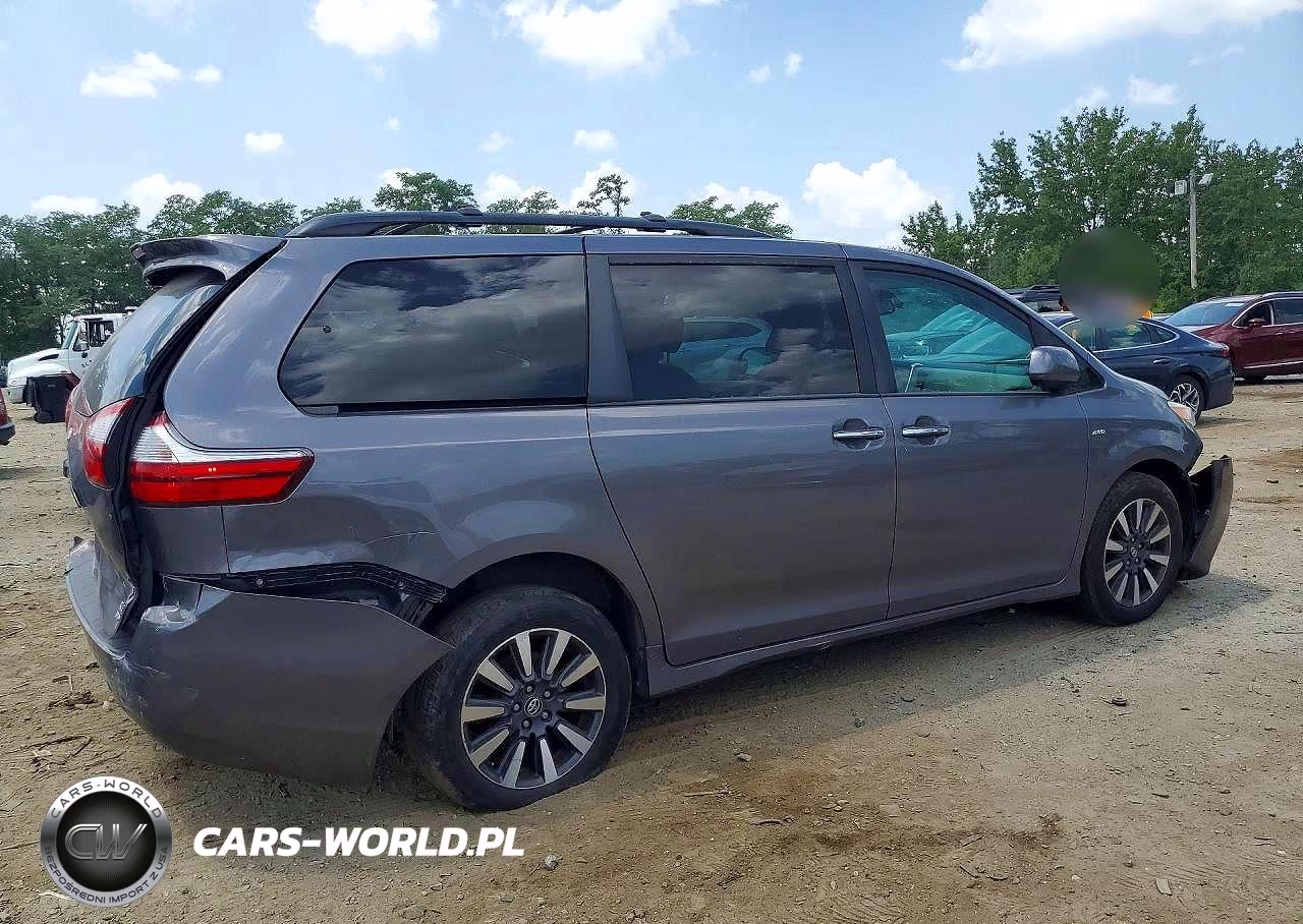 2018 Toyota Sienna Xle 7-Passenger VIN:5TDDZ3DC5JS199686 - 3