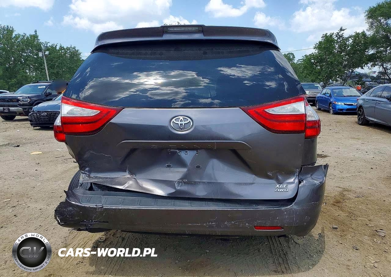 2018 Toyota Sienna Xle 7-Passenger VIN:5TDDZ3DC5JS199686 - 6
