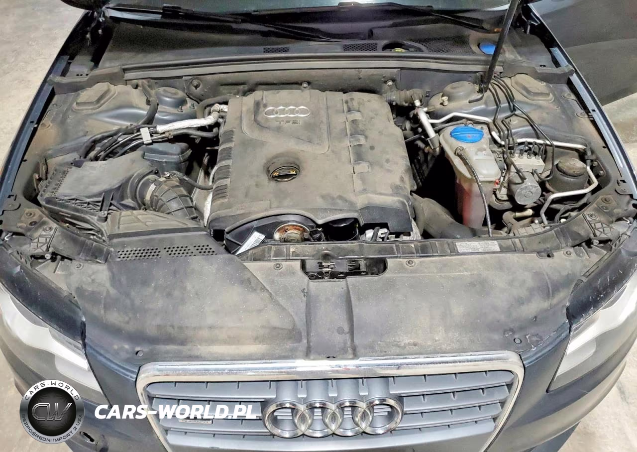 2009 Audi A4 Premium Plus VIN:WAUSF78K09N032532 - 11