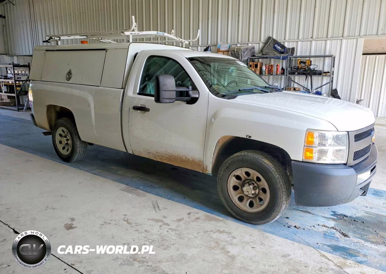 2013 Chevrolet Silverado C1500 VIN:1GCNCPEX5DZ900082 - 4