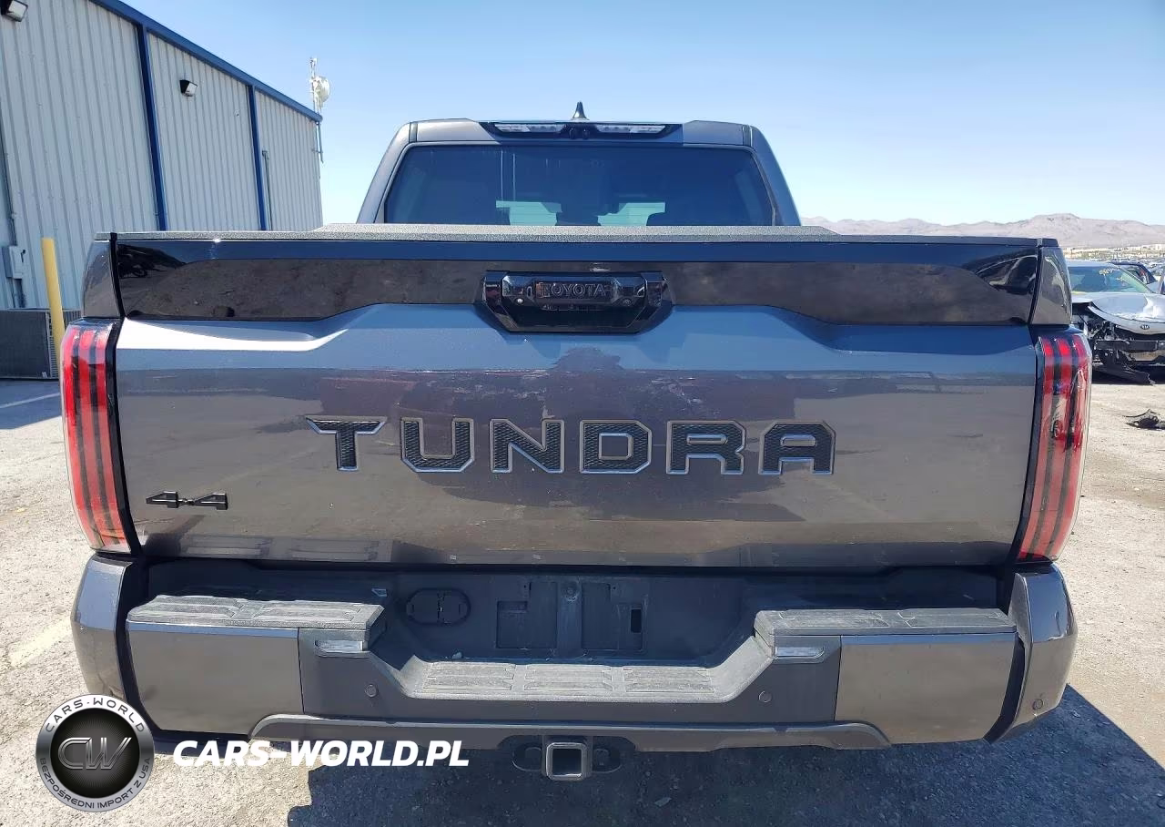 2024 Toyota Tundra Platinum VIN:5TFNA5DB9RX214274 - 6