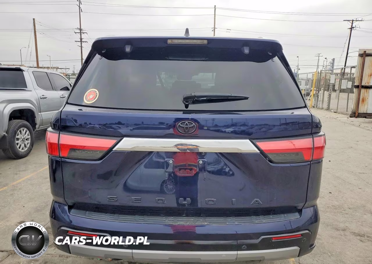 2024 Toyota Sequoia Limited VIN:7SVAAABA4RX042694 - 6
