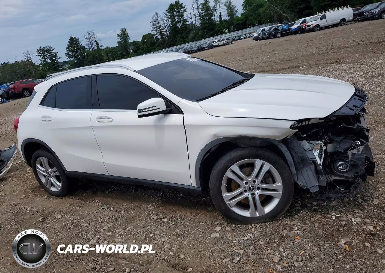 2020 Mercedes-Benz Gla 250 VIN:W1NTG4EB1LU040295 - 4