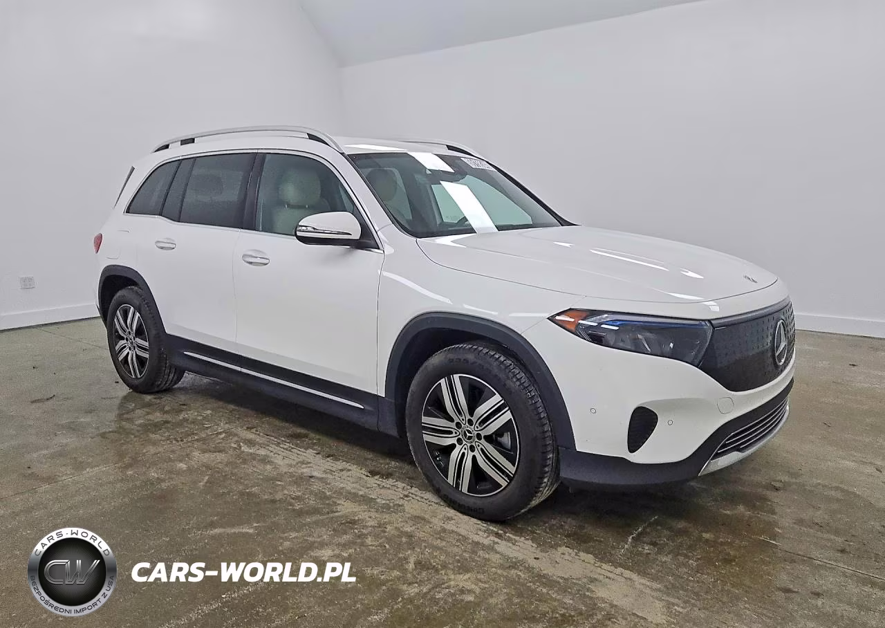 2024 Mercedes-Benz Eqb 250+ VIN:W1N9M0CB2RN091189 - 4