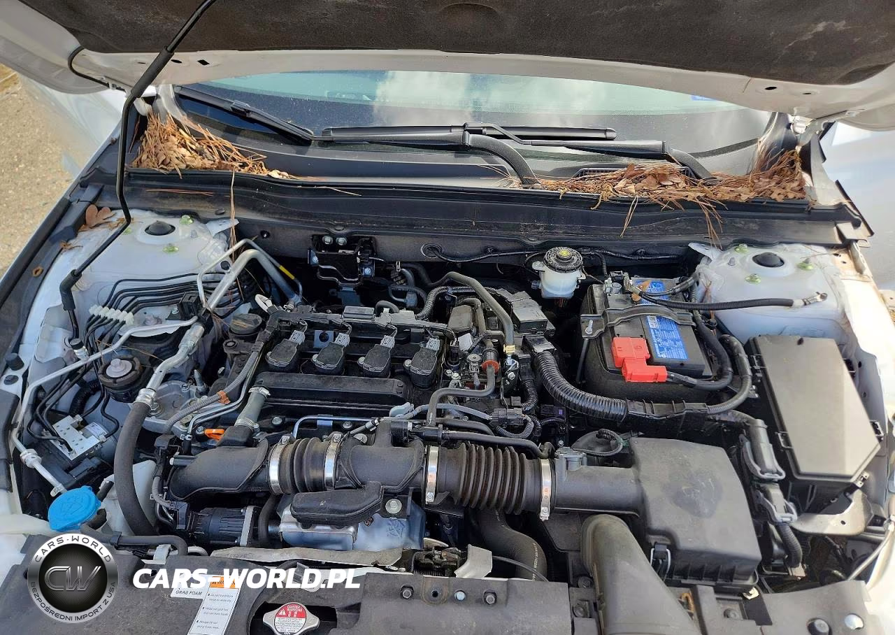 2021 Honda Accord Sport VIN:1HGCV1F32MA119501 - 11