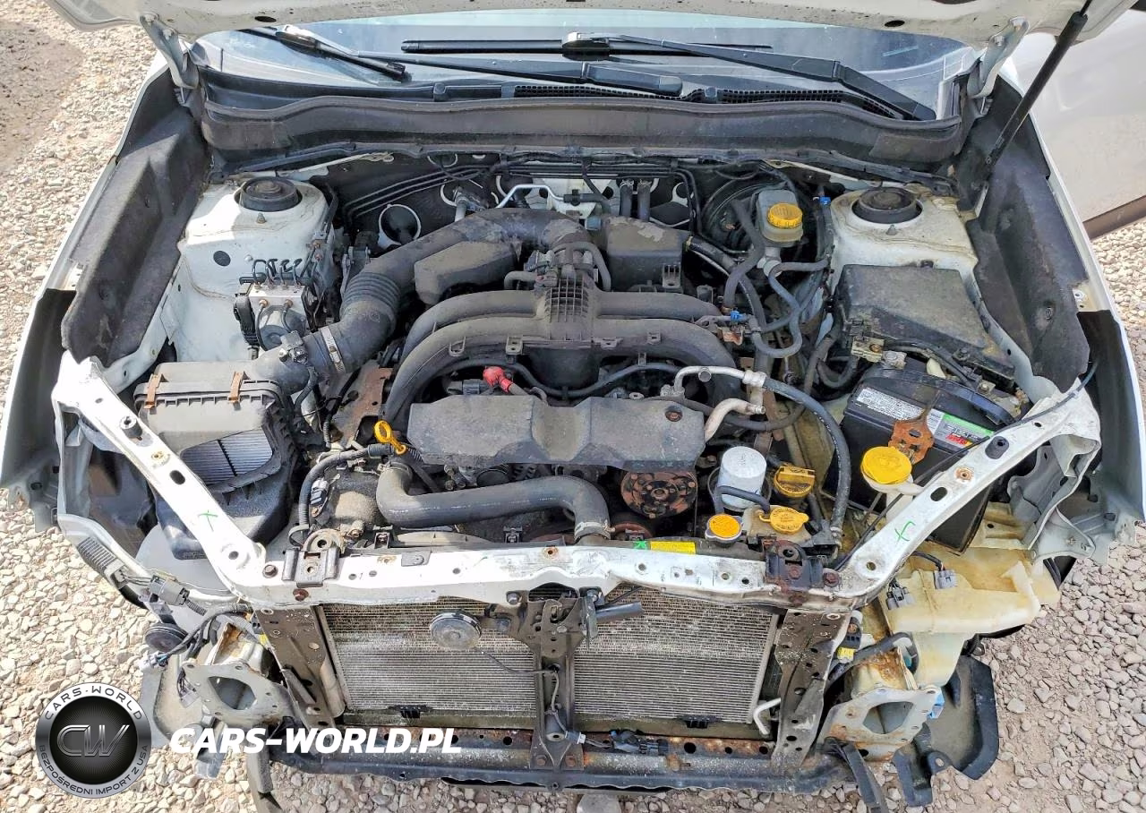 2017 Subaru Forester 2.5I VIN:JF2SJABC3HH528715 - 12