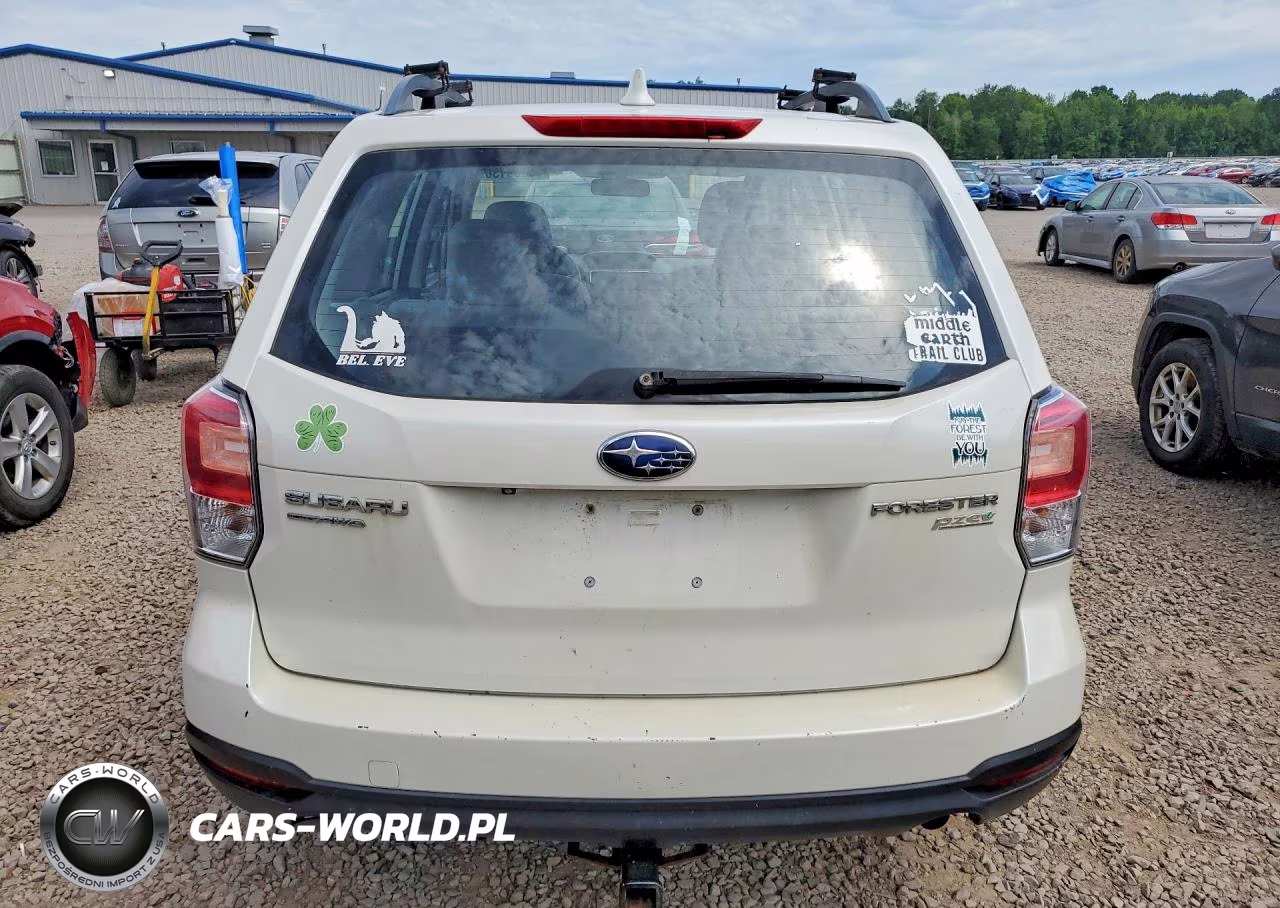 2017 Subaru Forester 2.5I VIN:JF2SJABC3HH528715 - 6