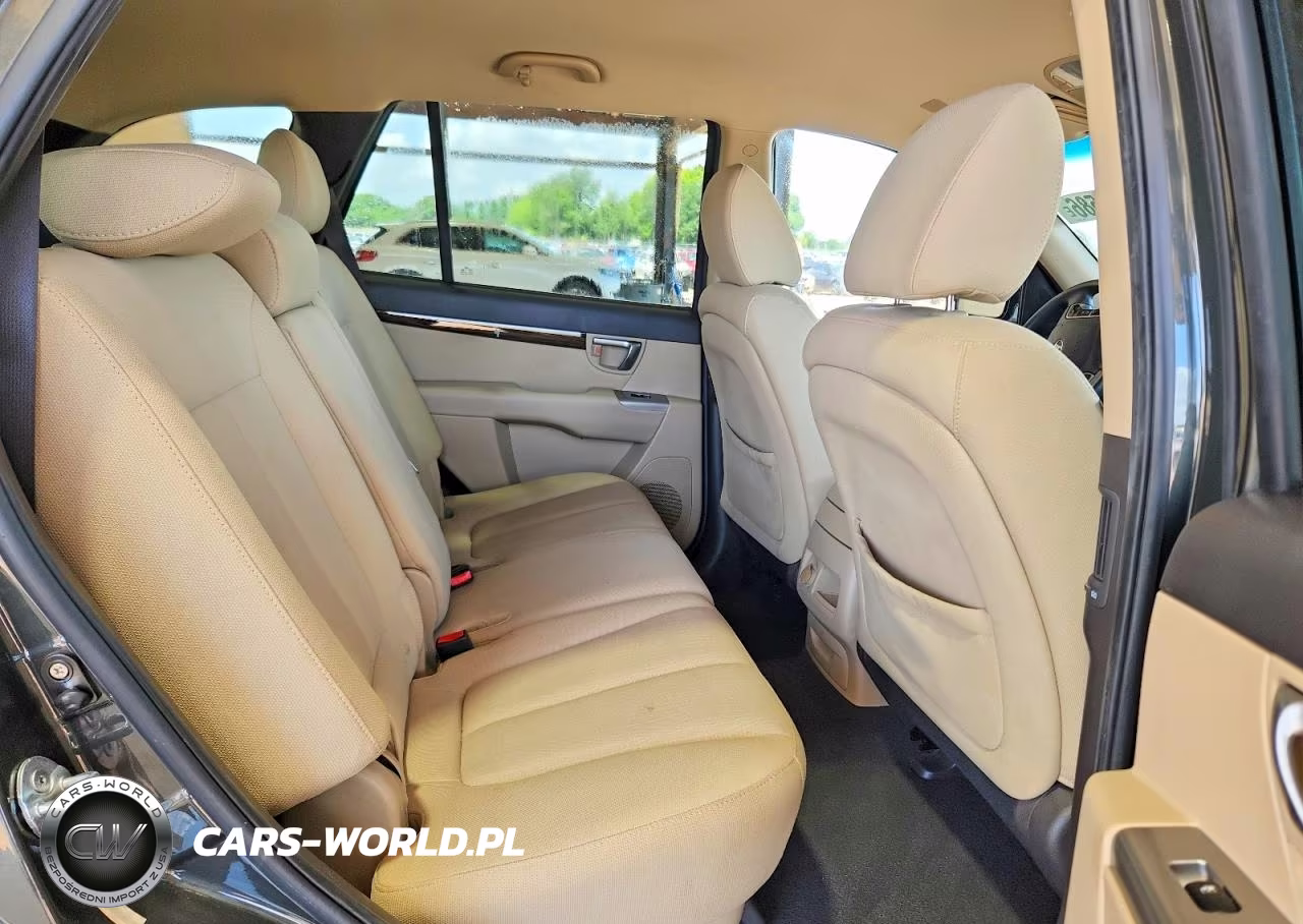 2010 Hyundai Santa Fe Gls VIN:5NMSG3AB3AH387408 - 11