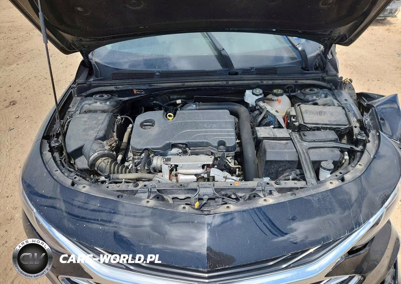 2023 Chevrolet Malibu Ls VIN:1G1ZC5ST5PF169904 - 11