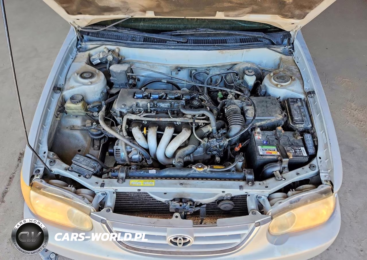 2002 Toyota Corolla S VIN:1NXBR12E32Z602069 - 11