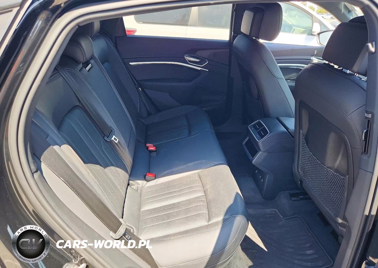2024 Audi Q8 E-Tron Sportback Premium Plus VIN:WA1CAAGE1RB049267 - 10