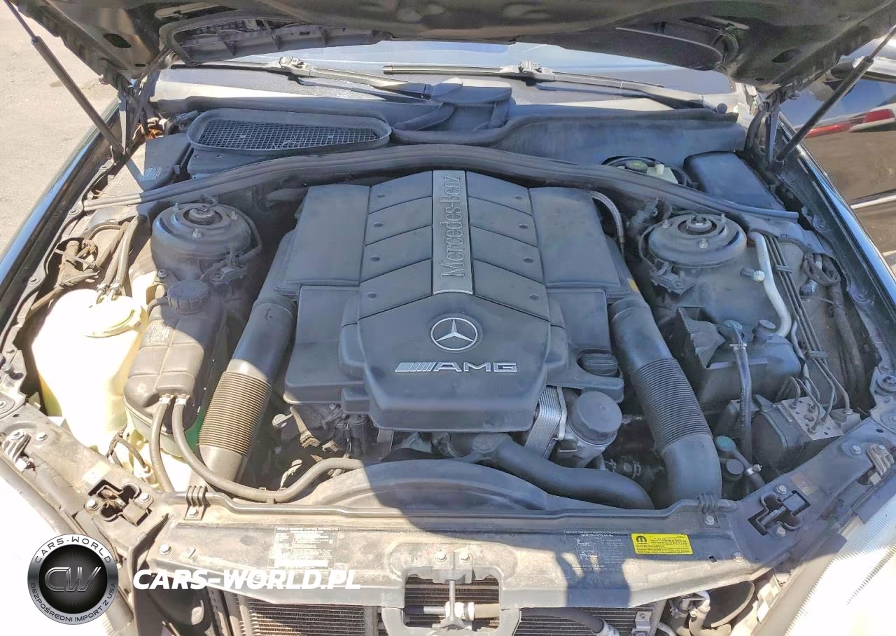 2002 Mercedes-Benz S 55 Amg VIN:WDBNG73J72A238485 - 11